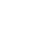 P&L Tunes